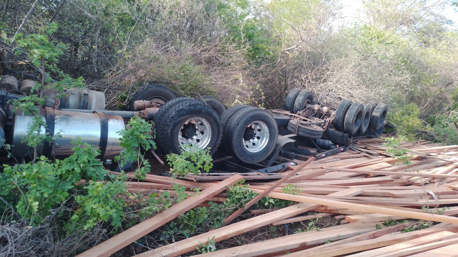 Carreta carregada com madeira tomba na BR-402 em Luís Correia