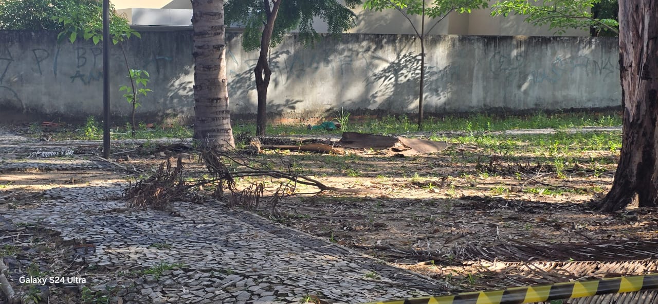 Corpo de jovem é encontrado próximo a delegacia na zona Leste de Teresina