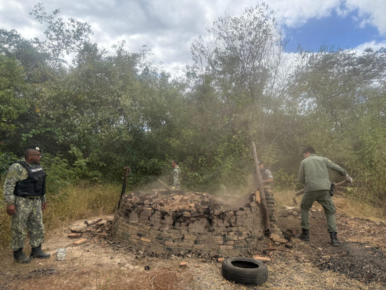 Exploração ilegal de madeira é alvo de megaoperação no interior do Piauí