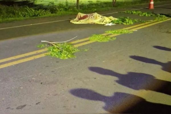 Motociclista morre após colidir com cachorro na PI-112, em União
