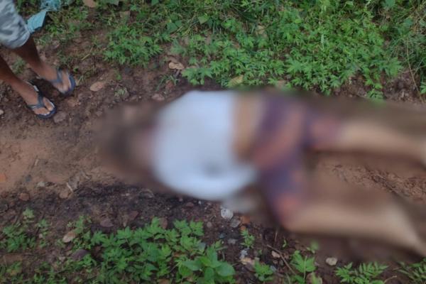 Corpo encontrado em mata é identificado e polícia aponta execução