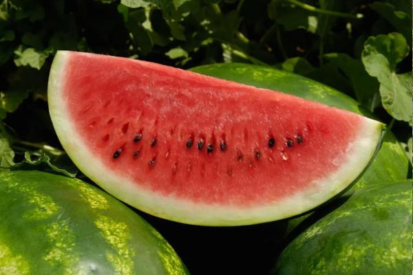 Estudo revela possível gatilho de enxaqueca ligado à melancia
