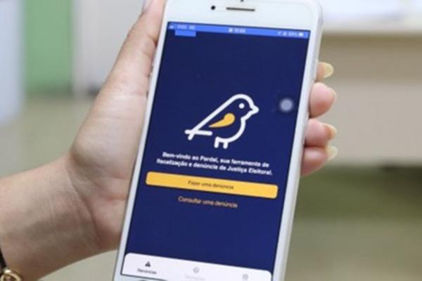 Aplicativo Pardal será liberado em agosto para denúncias de propaganda eleitoral