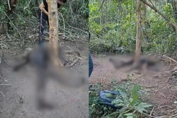 Corpo em avançado estado de decomposição é encontrado em Curralinhos