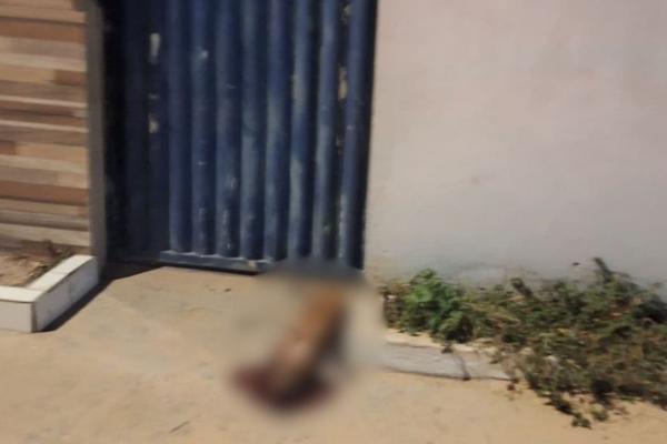 Ataque a tiros deixa dois feridos e cachorro morto na Zona Norte de Teresina